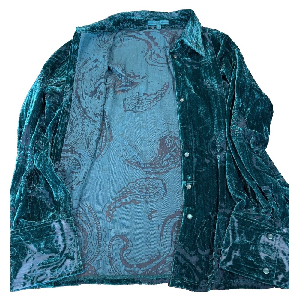 CYC green velvet burnout paisley button up long sleeve blouse womens' sz XL sexy - Picture 13 of 13